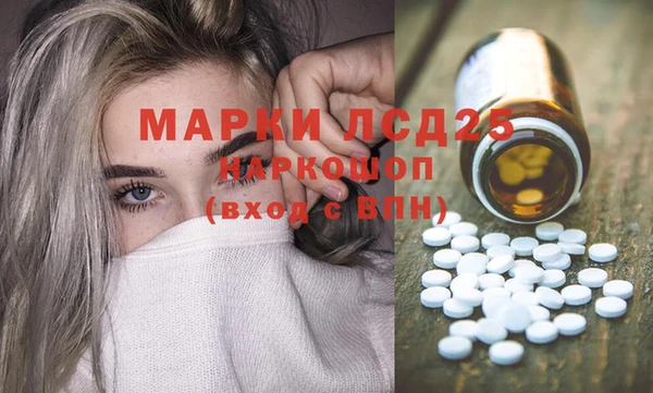 стафф Новозыбков