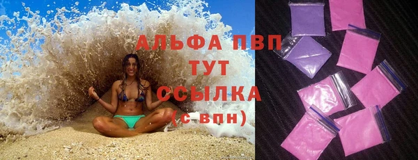 соль ск Новодвинск