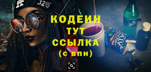 хмурый Няндома