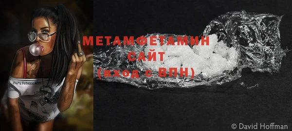 хмурый Няндома